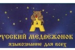 "Русский медвежонок", 16 ноября 2022 г.